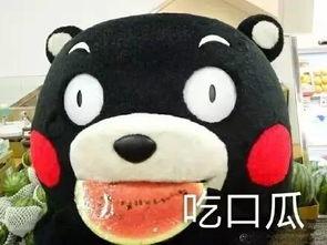 免费吃瓜歌曲在线听,跟着免费吃瓜歌曲在线听瓜不停